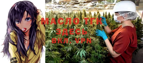 mix Ельня