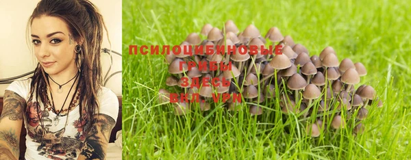 mix Ельня