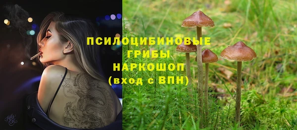 эйфоретик Елизово