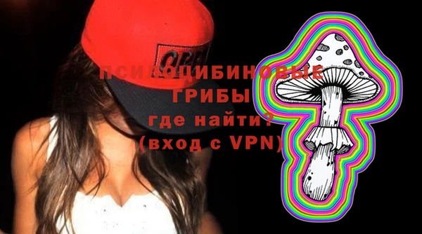 эйфоретик Елизово