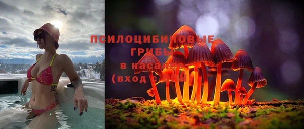 твердый Елабуга